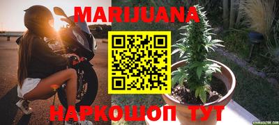 прущие крисы Новодвинск
